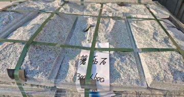 东营芝麻白蘑菇石，自然面